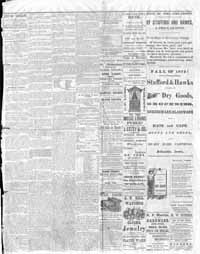 Atlantic Weekly Telegraph 12-8-1872 Page 4