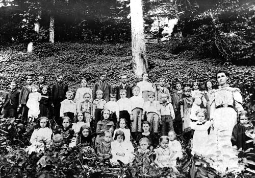 1899 school picnic of the Beulah School at Beulah Falls