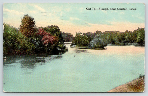 Catail Slough