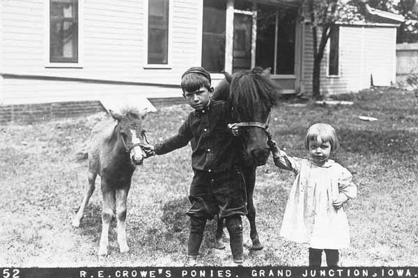 R. E. Crowe's Ponies, Grand Junction, Iowa