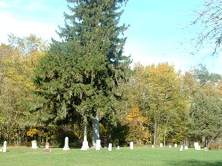 Tombstones in Adamson Grove Cemetery