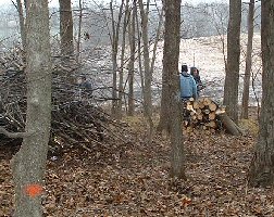 Prisoners cut trees and stack wood.