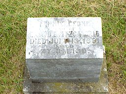 Minnie Leone Fitzgarrald tombstone