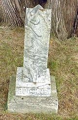 Kate Scott Hodgins tombstone