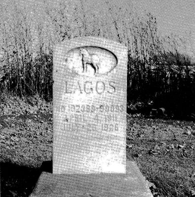 Lagos Stone