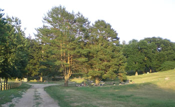 Crescent Cemetery