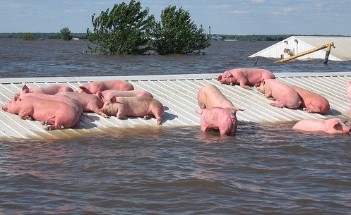 Iowa Flood.jpg