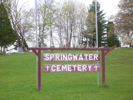 Springwater cemetery - photo by Connie Street