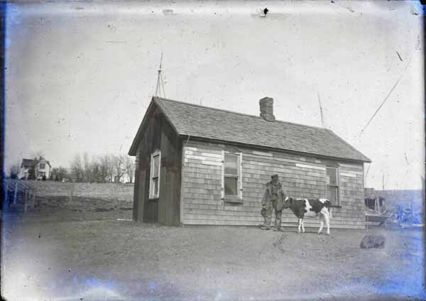 Knud Rasmussen with Cow in Front of Shanty, Poplar, Iowa