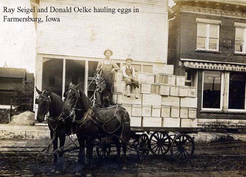 Ray Seigel and Donald Oelke hauling eggs