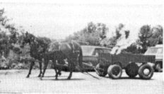 Horse team pulling wagon