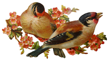 Victorian Scrapbook Birds
